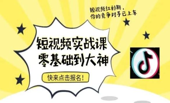 短视频零基础落地实操训练营，短视频实战课零基础到大神-佛系网创