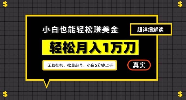 谷歌看广告撸美金2.0，无脑挂机，多号操作，月入1万刀【揭秘】-佛系网创