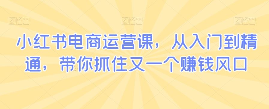 小红书电商运营课，从入门到精通，带你抓住又一个赚钱风口-佛系网创