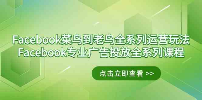 （9065期）Facebook-菜鸟到老鸟全系列运营玩法+Facebook-专业广告投放全系列课程-佛系网创