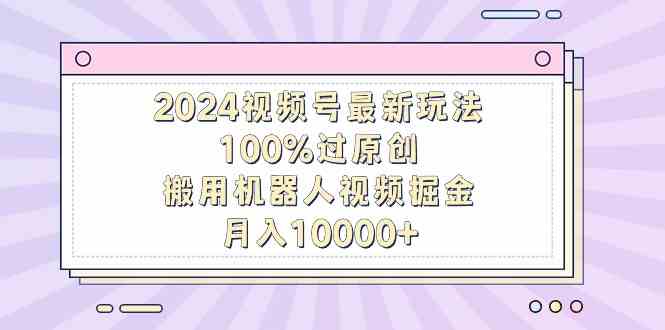 （9151期）2024视频号最新玩法，100%过原创，搬用机器人视频掘金，月入10000+-佛系网创