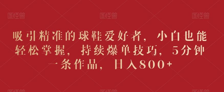 吸引精准的球鞋爱好者，小白也能轻松掌握，持续爆单技巧，5分钟一条作品，日入800+【揭秘】-佛系网创