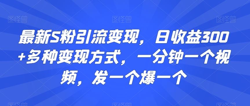 最新S粉引流变现，日收益300+多种变现方式，一分钟一个视频，发一个爆一个【揭秘】-佛系网创