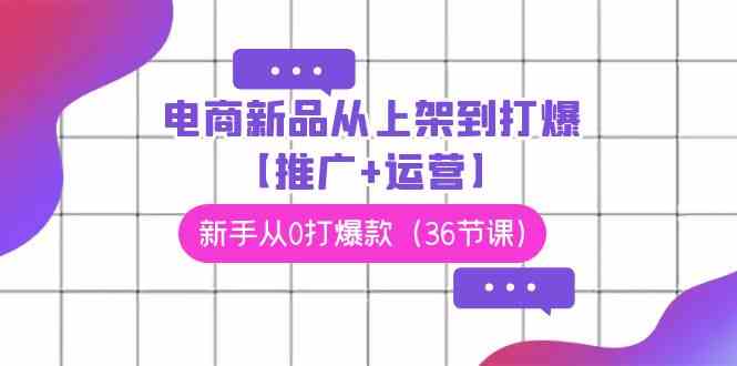 （9286期）电商 新品从上架到打爆【推广+运营】，新手从0打爆款（36节课）-佛系网创