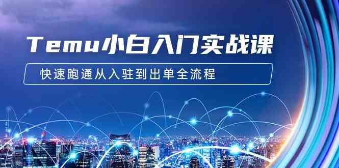 （9295期）Temu小白入门实战课：跨境拼多多电商培训 快速跑通从入驻到出单全流程-12节-佛系网创