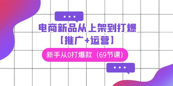 电商新品从上架到打爆【推广+运营】，新手从0打爆款（69节课）-佛系网创