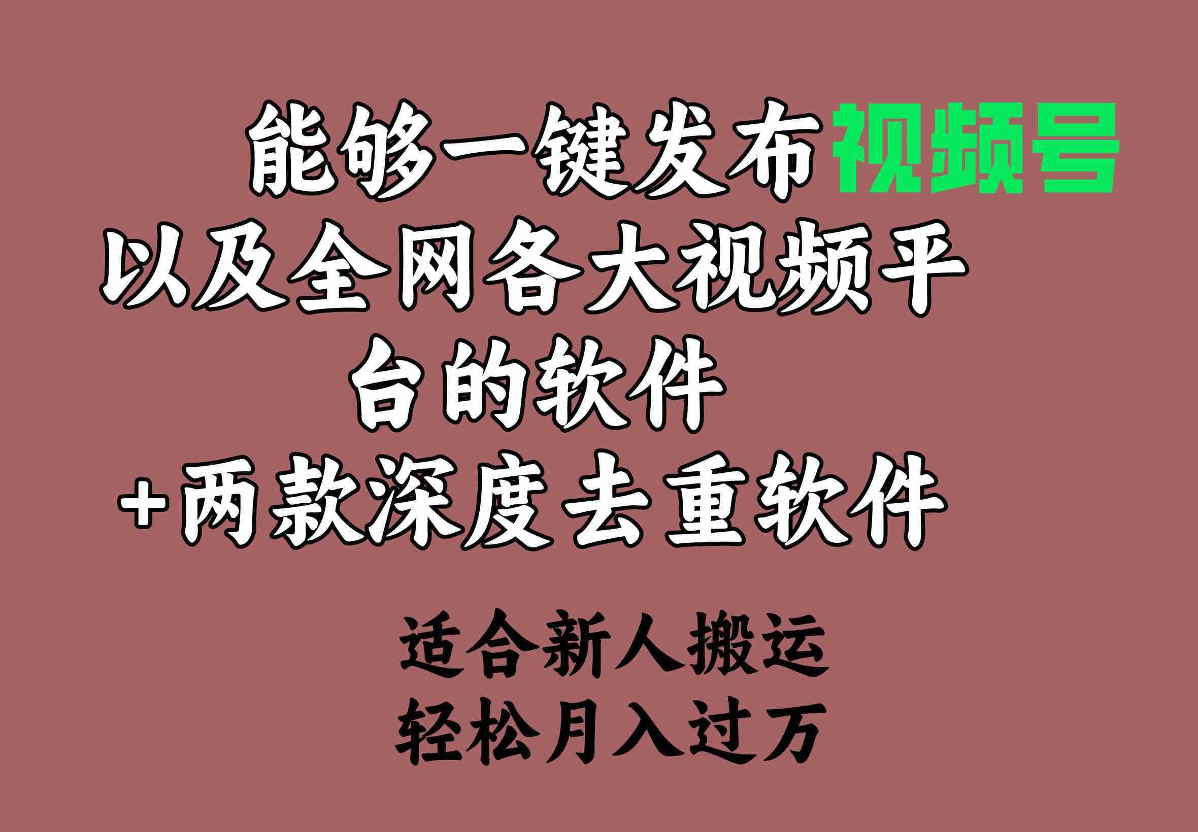 （9319期）能够一键发布视频号以及全网各大视频平台的软件+两款深度去重软件 适合…-佛系网创
