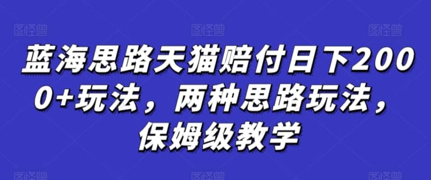 蓝海思路天猫赔付日下2000+玩法，两种思路玩法，保姆级教学【仅揭秘】-佛系网创