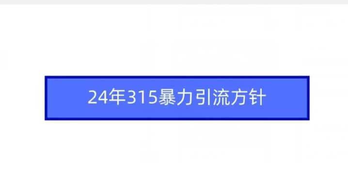 24年315暴力引流方针-佛系网创