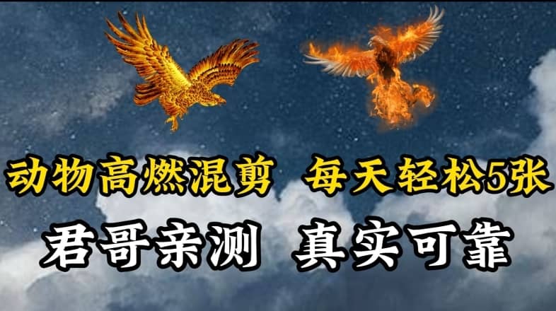 动物超燃混剪，每天轻松5张，剪辑简单大家爱看-佛系网创