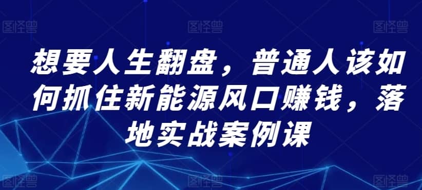 想要人生翻盘，普通人该如何抓住新能源风口赚钱，落地实战案例课-佛系网创