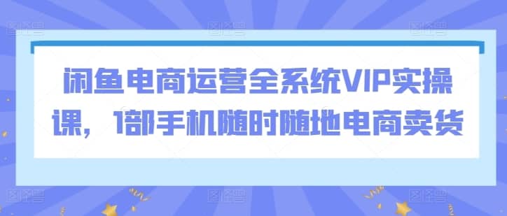 闲鱼电商运营全系统VIP实操课，1部手机随时随地电商卖货-佛系网创