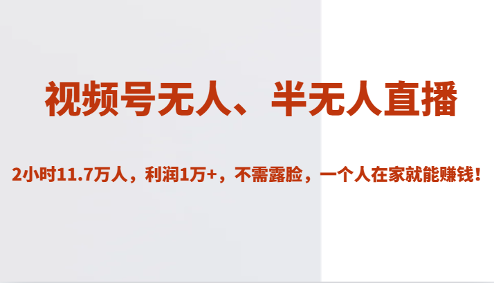 视频号无人、半无人直播2小时11.7万人，利润1万+，不需露脸，一个人在家就能赚钱！-佛系网创