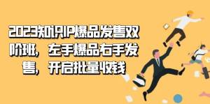 2023知识IP-爆品发售双阶班，左手爆品右手发售，开启批量收钱-佛系网创