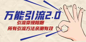 万能引流2.0，引流变现陪跑，所有引流方法亲测有效-佛系网创